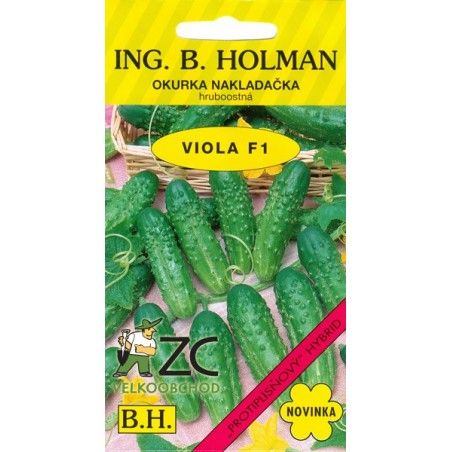 Okurka nakládačka - Viola F1 hr 2,5g HOLMAN  - 1